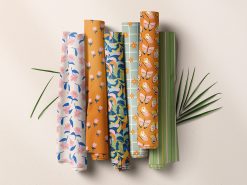 Vintage Objects & Line Art